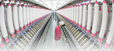 新疆纺织服装产业集聚效应凸显